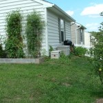 Steep Hillside Backyard Before
