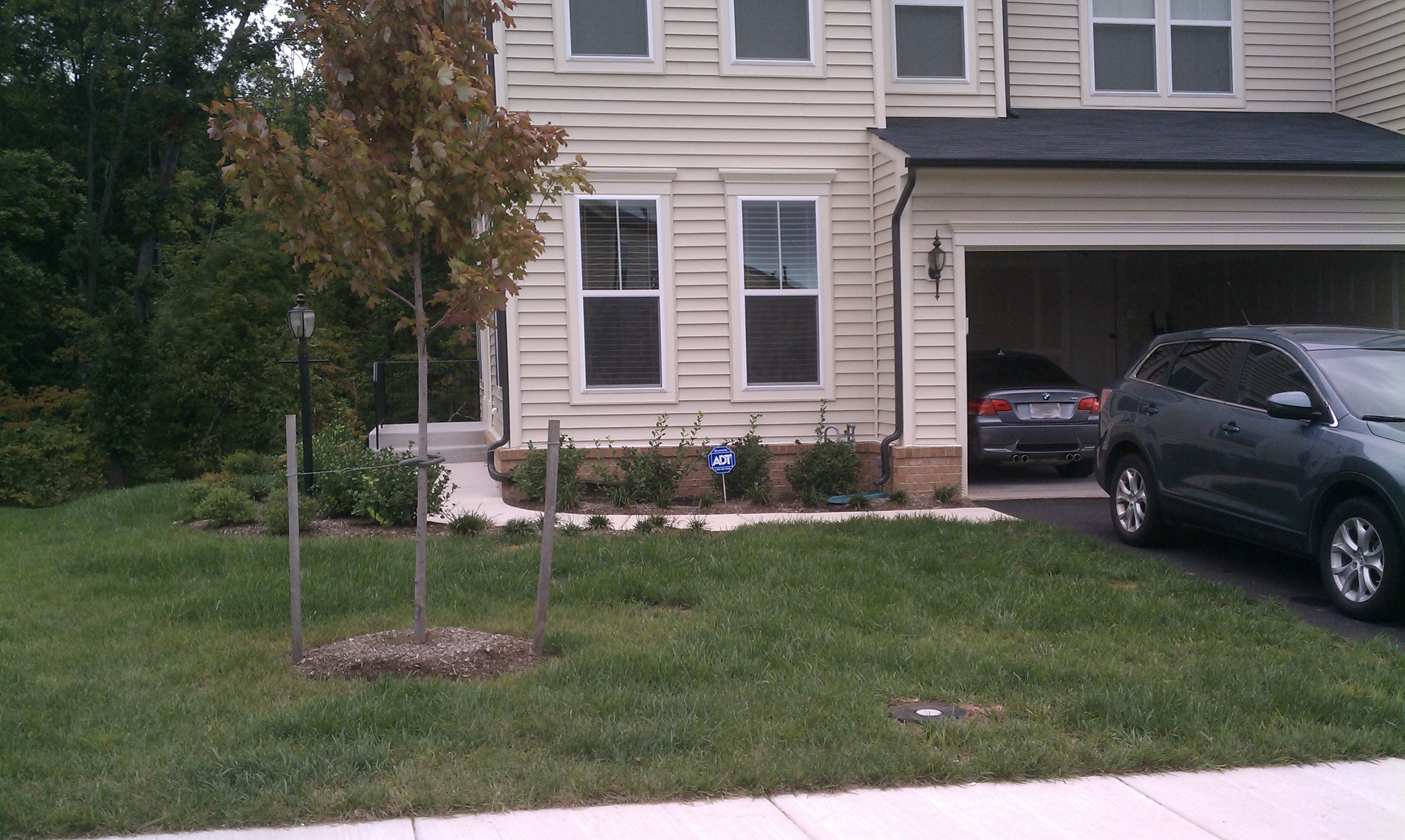 ... Small Yards Case Study: Townhouse Front Yard - Revolutionary Gardens