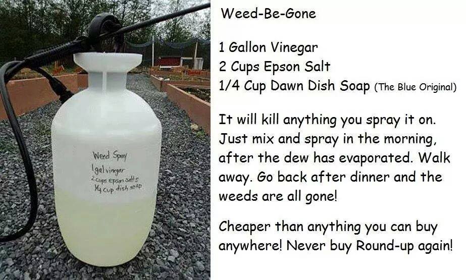 Can you make an organic weed control solution with vinegar?