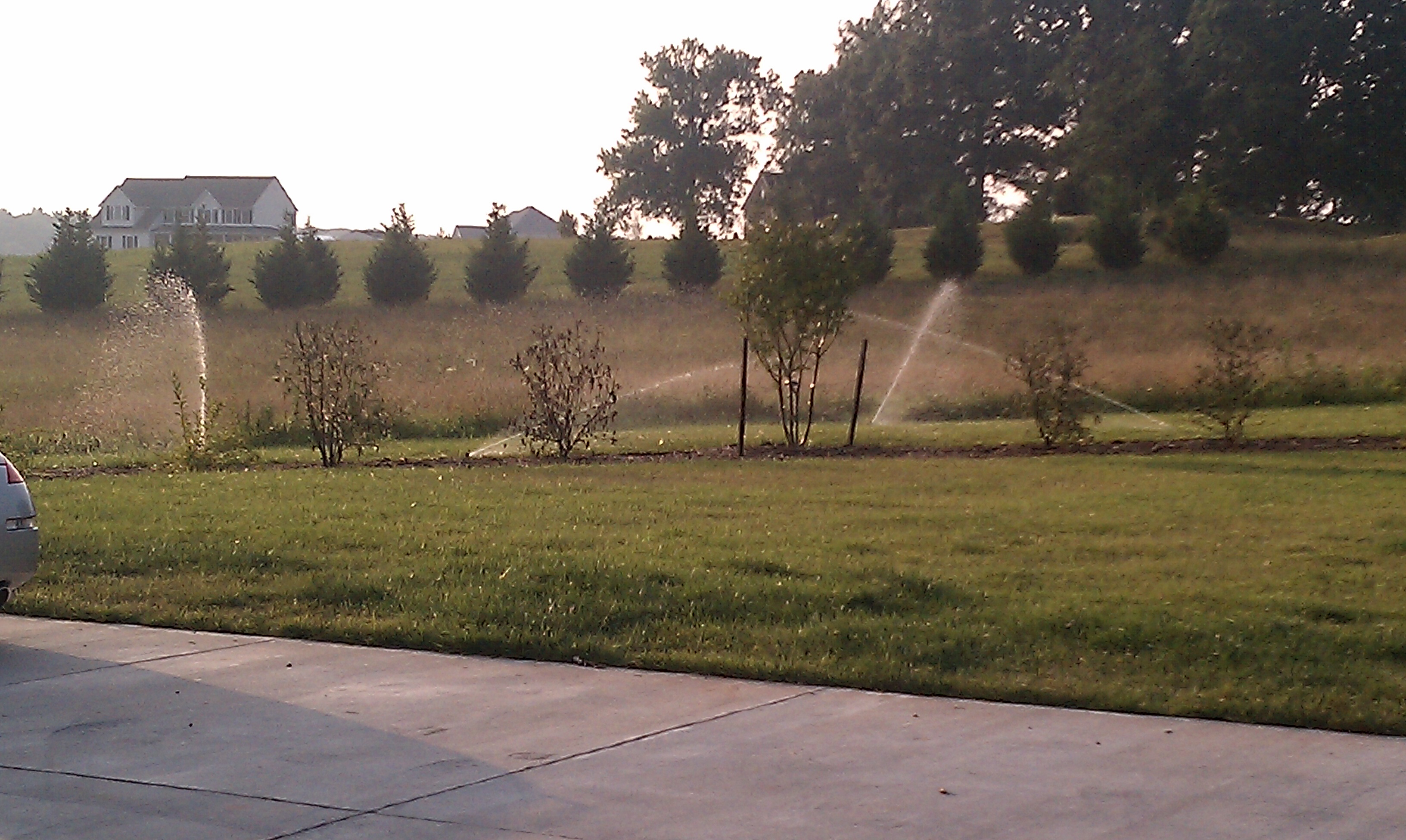 Watering Your New Northern Virginia Landscape in the Summer Heat