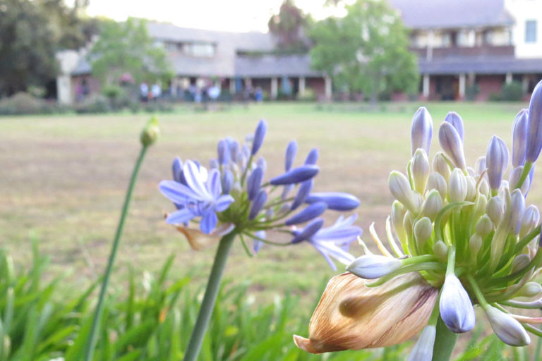 Estate Gardening Revolutionary Gardens