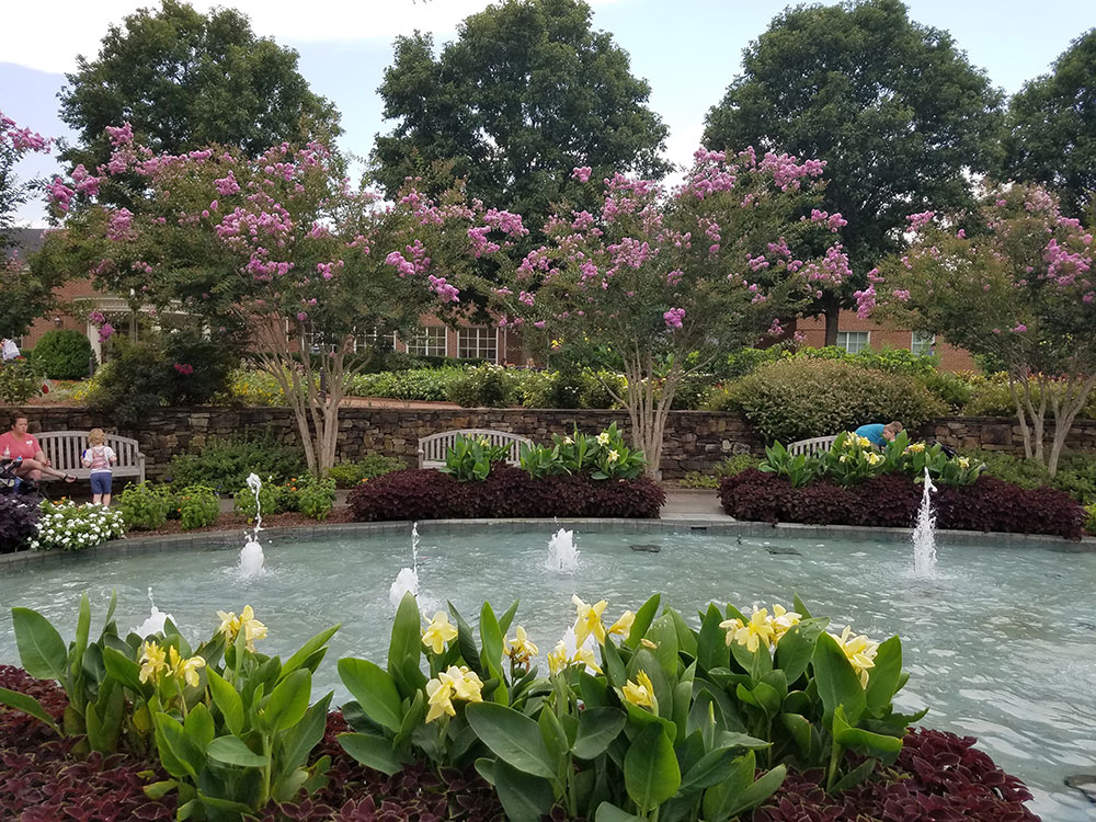 crape myrtles behind the fountain at Lewis Ginter Botanical Gardens, Richmond VA