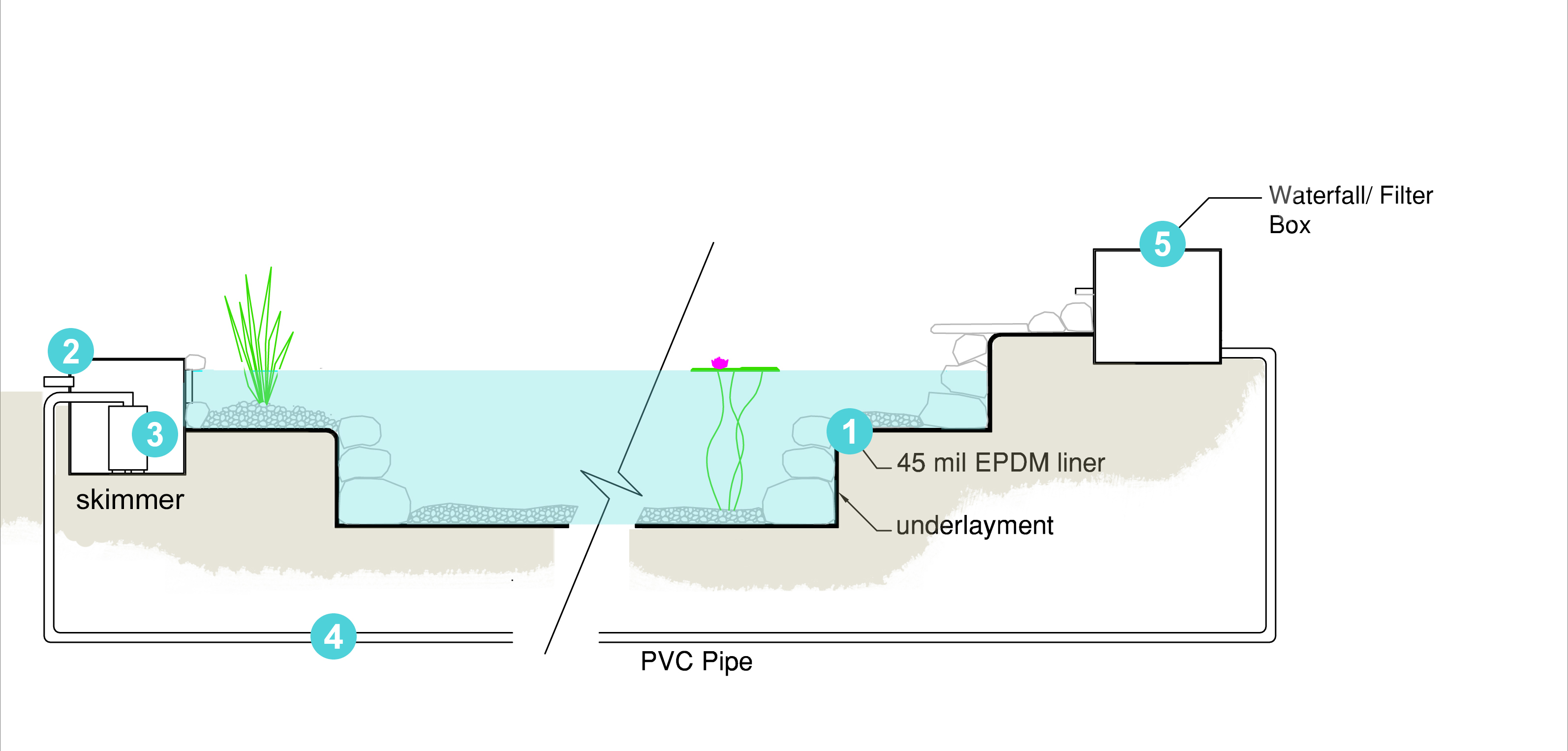 Revolutionary Gardens Landscape Design Blog