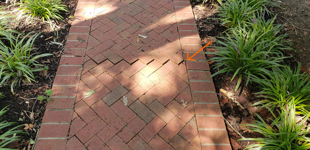 Herringbone brick walk with crack along width