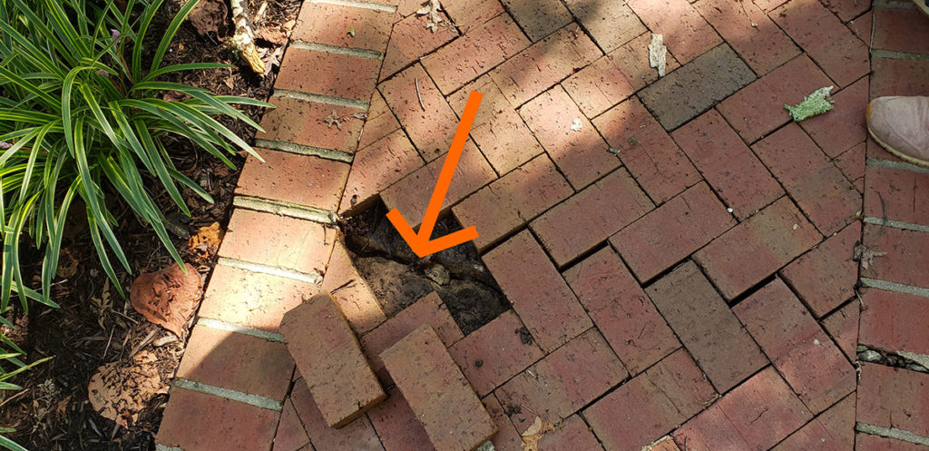 Cracked concrete slab visible under brick walk