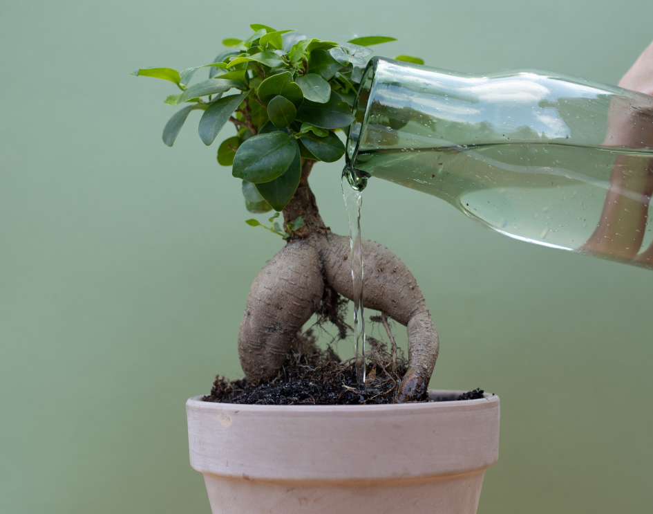 ghibli bonsai Official Ghibli Spirited Away Water Garden/Fountain • No Face Kaonashi  Bonsai Home Decor/Interior Diorama main image 0