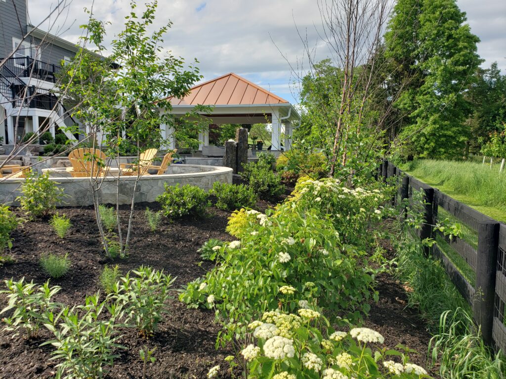 Planting design in Willowsford